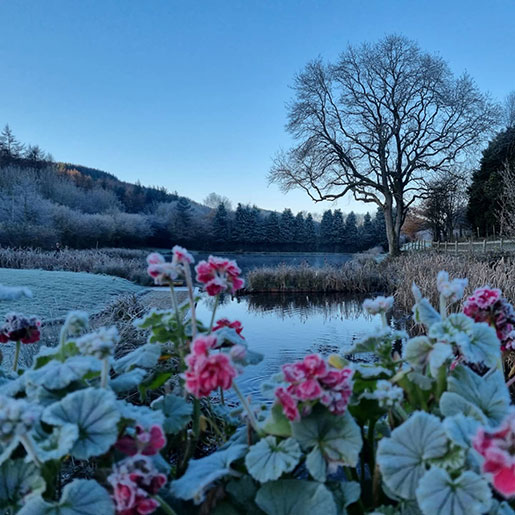 Flower-Frost-Llandegla-Fishery