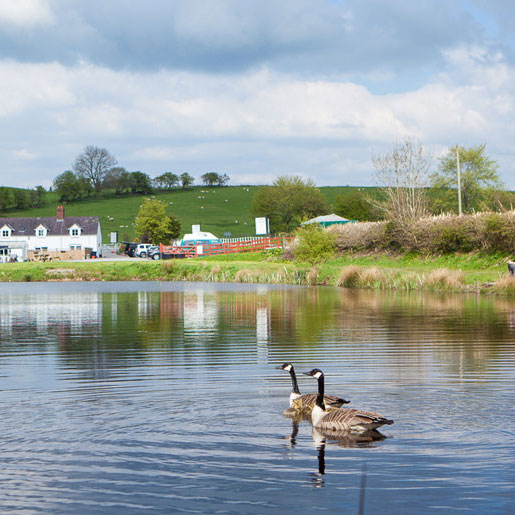 More-Nature-at-Llandegla-Fishery